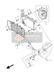 Radiator & Hose