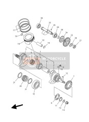 Crankshaft & Piston