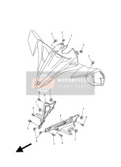 VORDERER KOTFLÜGEL