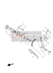 Camshaft & Chain