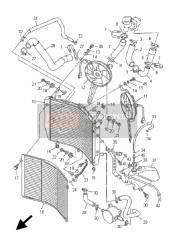 Radiator & Hose