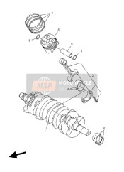 Crankshaft & Piston