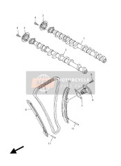 NOCKENWELLE & STEUERKETTE