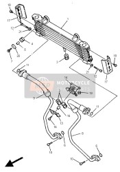 Oil Cooler