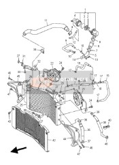 Radiator & Slang