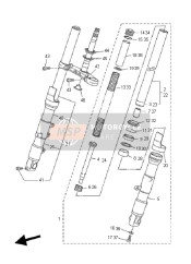 Forcella anteriore