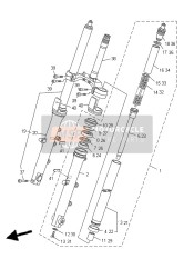 Forcella anteriore