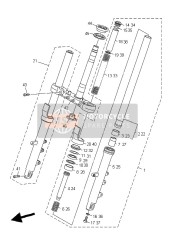 Forcella anteriore