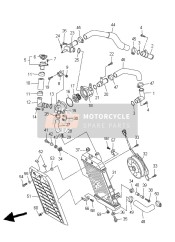 Radiator & Hose