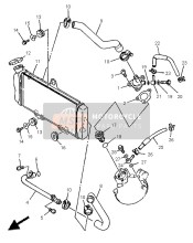 Radiator & Hose