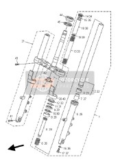 Forcella anteriore