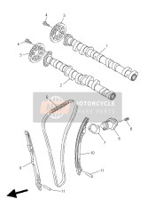 Camshaft & Chain