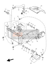 Radiator & Hose