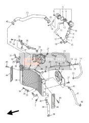 Radiator & Hose