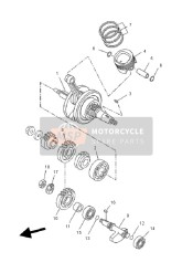 Crankshaft & Piston