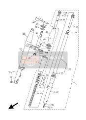 Forcella anteriore