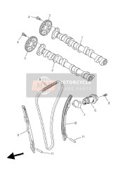 Camshaft & Chain