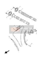 Camshaft & Chain