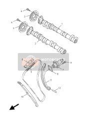 Camshaft & Chain