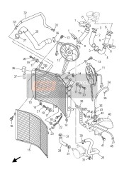 Radiator & Hose