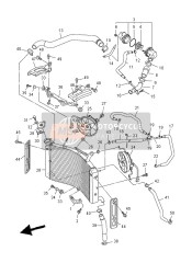 Radiator & Hose