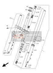 Forcella anteriore