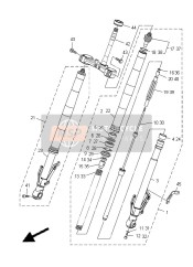 Forcella anteriore