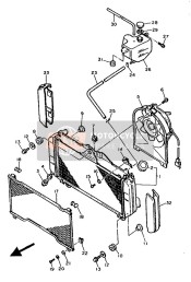 Radiator & Hose