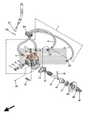 Oil Pump 1