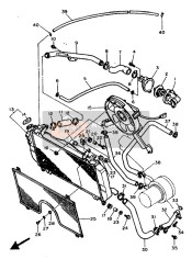 Radiator & Hose