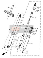 Forcella anteriore