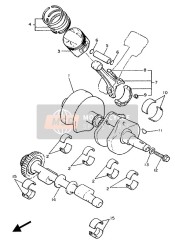 Crankshaft & Piston