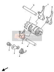 Shift Cam & Fork