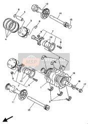 Crankshaft & Piston