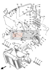 Radiator & Hose