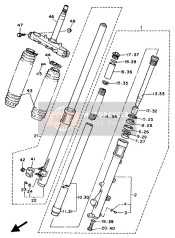 Forcella anteriore