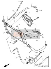 Radiator & Hose