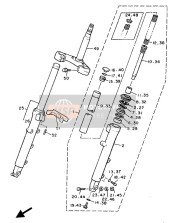 Forcella anteriore