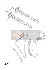 Camshaft & Chain