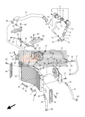 Radiator & Hose