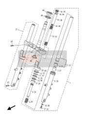 Forcella anteriore