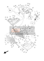 Radiator & Hose