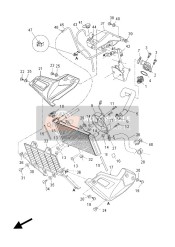 Radiator & Hose