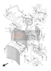 Radiator & Hose