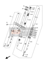 Forcella anteriore