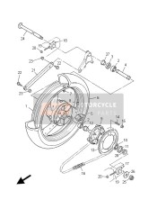 Roue arrière