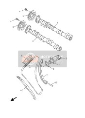 Camshaft & Chain