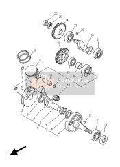 Crankshaft & Piston