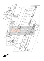 Forcella anteriore