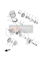 Albero motore & Pistone